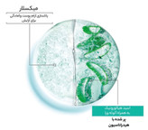 تونر پاک کننده آرایش گارنیر مدل pure Active حجم 400میل